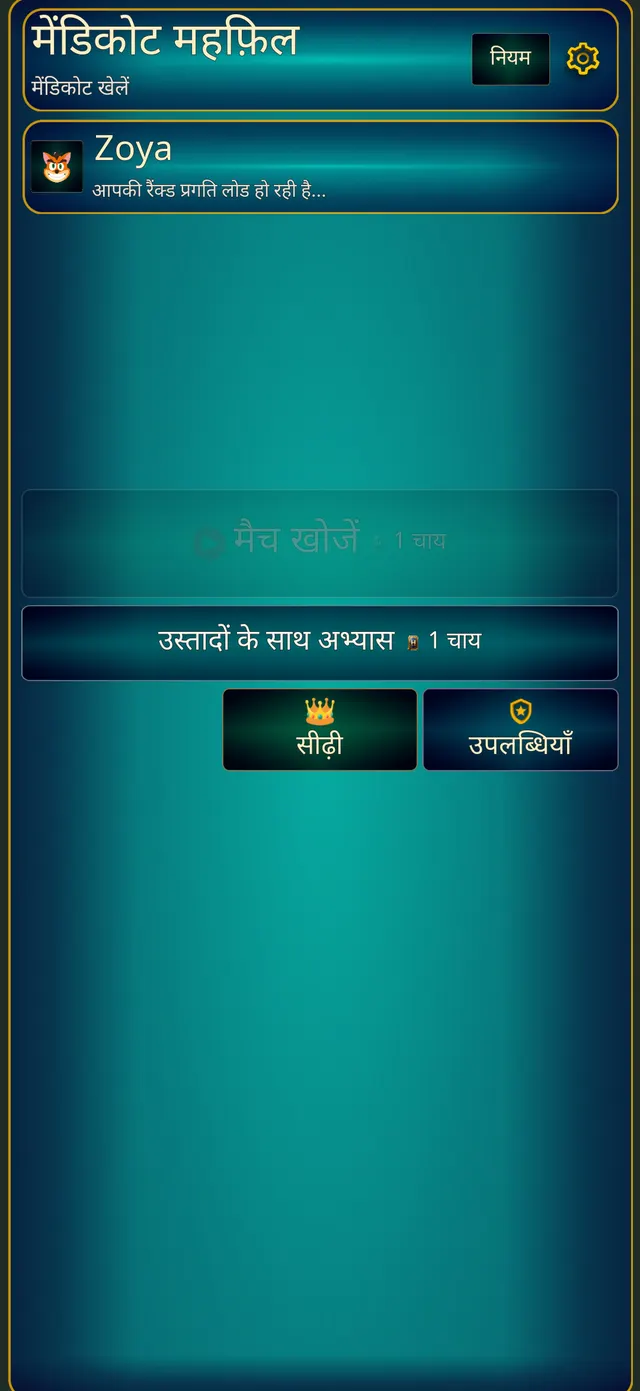 The home screen in Hindi